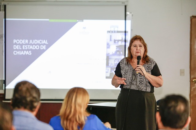CONTINÚA PODER JUDICIAL CURSO TALLER PARA ABOGADAS Y ABOGADOS CHIAPANECOS