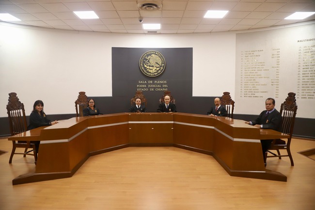 TOMAN PROTESTA A NUEVO INTEGRANTE DEL PLENO DE DIS...